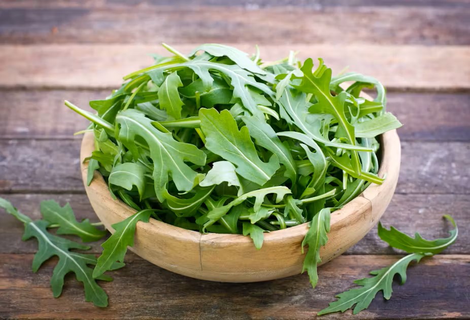 ARUGULA